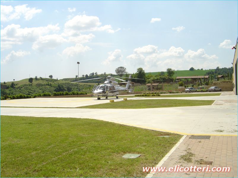 elifoto (78)